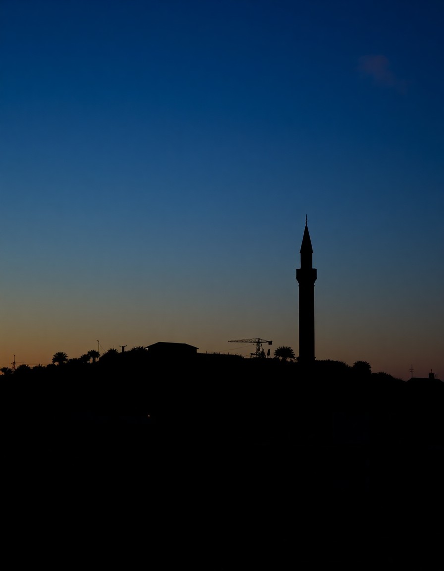 The Islamic Movement in Israel